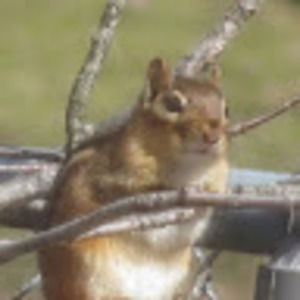 Meet your Posher, Jeanine